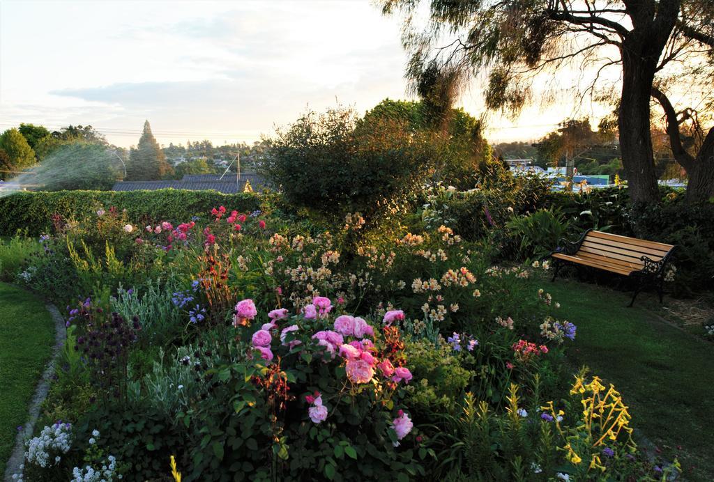 Harbinger House Bed & Breakfast ตาอูรังกา ภายนอก รูปภาพ